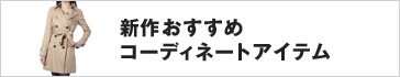 �V�삨�����߃R�[�f�B�l�[�g�A�C�e��
