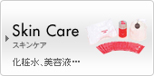 Skin Care �X�L���P�A�@���ϐ��A���e�t�c