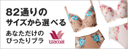 82�ʂ�̃T�C�Y����I�ׂ邠�Ȃ������̂҂�����u��