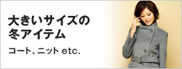 �傫���T�C�Y�̓~�A�C�e��
