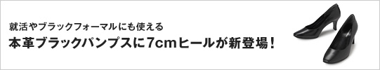�{�v�u���b�N�p���v�X�ɂVcm�q�[�����V�o��I