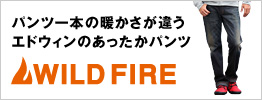 �G�h�E�B�� ���C���h�t�@�C�A