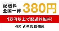 �z�����S���ꗥ380�~