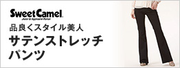�X�E�B�[�g�L�������@�T�e���X�g���b�`�p���c