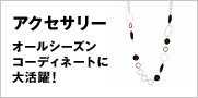 �A�N�Z�T���[