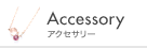 Accessory �A�N�Z�T���[