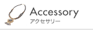 Accessory �A�N�Z�T���[