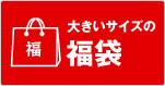 �傫���T�C�Y�̕���