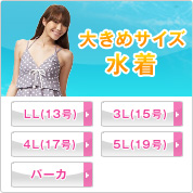 �傫�߃T�C�Y����