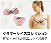 �O���}�[�T�C�Y�R���N�V���� E70�`H95�̖L�x�ȃT�C�Y�W�J