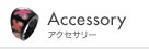 Accessory �A�N�Z�T���[