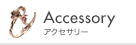 Accessory �A�N�Z�T���[