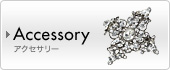 Accessory �A�N�Z�T���[