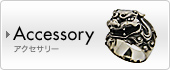 Accessory �A�N�Z�T���[