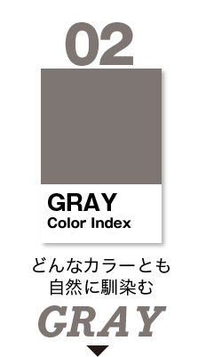 02 GRAY Color Index ǂȃJ[ƂRɓ GRAY