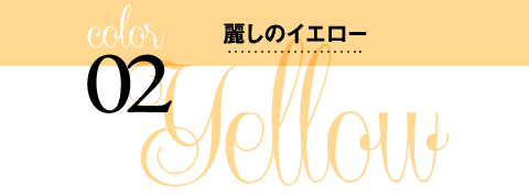 color02 Yellow 킵̃CG[