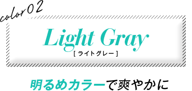 color02 Light Gray mCgO[n@߃J[őu₩