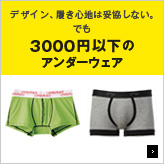 �f�U�C���A�����S�n�͑Ë����Ȃ��B�ł�3000�~�ȉ��̃A���_�[�E�F�A