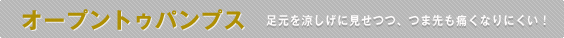 �I�[�v���g�D�p���v�X