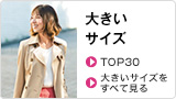 �傫���T�C�Y