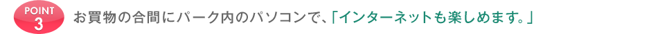 POINT 3 �������̍��ԂɃp�[�N���̃p�\�R���ŁA�u�C���^�[�l�b�g���y���߂܂��B�v