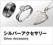 �V���o�[�A�N�Z�T���[ Silver Accessory