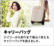 �L�����[�o�b�O �f�C���[���痷�s�܂ŕ��L���g����L�����[�o�b�O�𑵂��܂����B