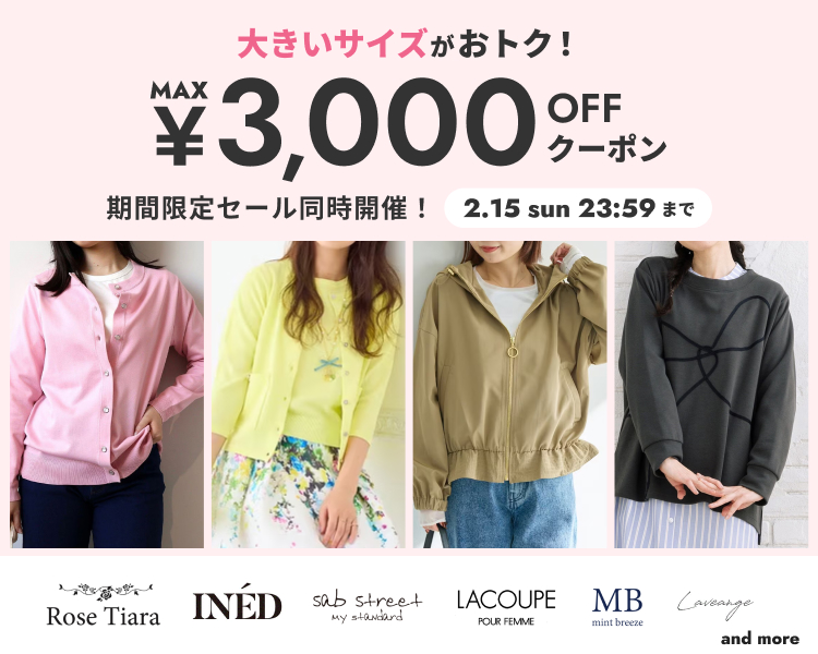 �傫���T�C�YDAYS