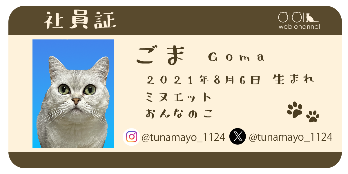 ごま　プロフィール