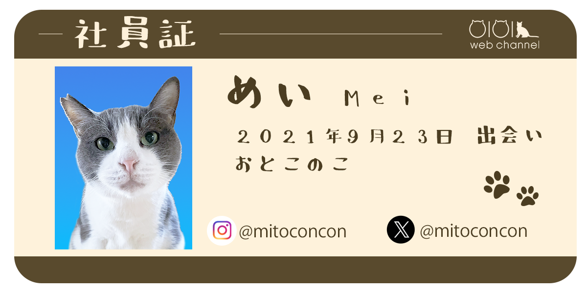 めい　プロフィール