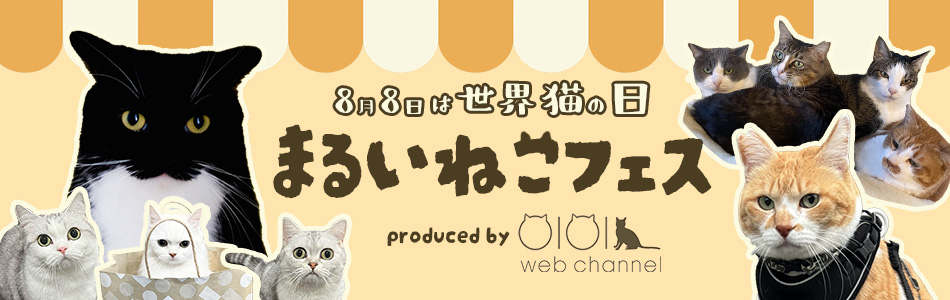 まるいねこフェス　8月8日は世界猫の日　イベント2024年マルイウェブチャネル