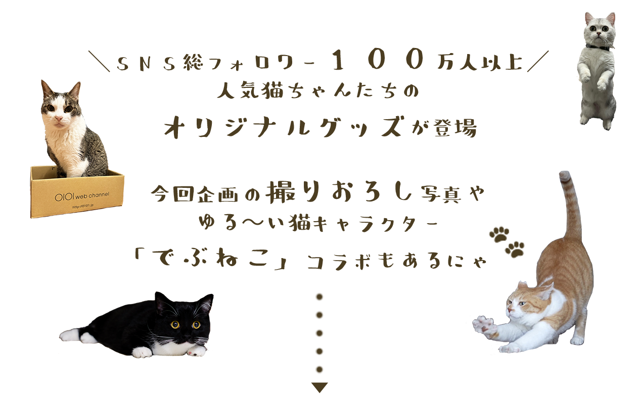 SNS総フォロワー100万人以上 人気猫ちゃんたちのオリジナルグッズ販売中！ 今回企画の撮りおろし写真や、ゆる～い猫キャラクター「でぶねこ」コラボも実施。