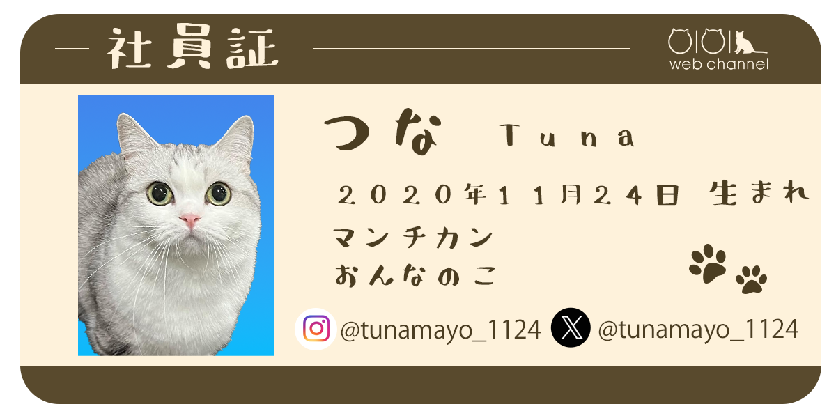 つな　プロフィール