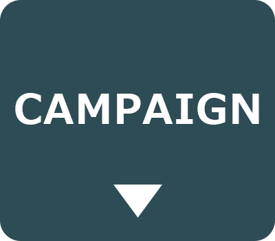 CAMPAIGN