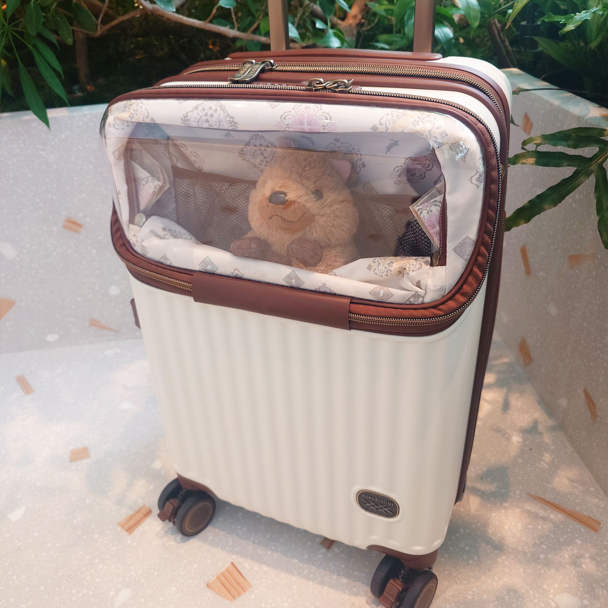 伯仲スニーカー