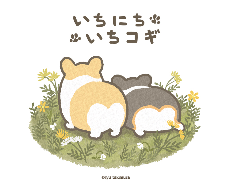 いちにちいちコギ