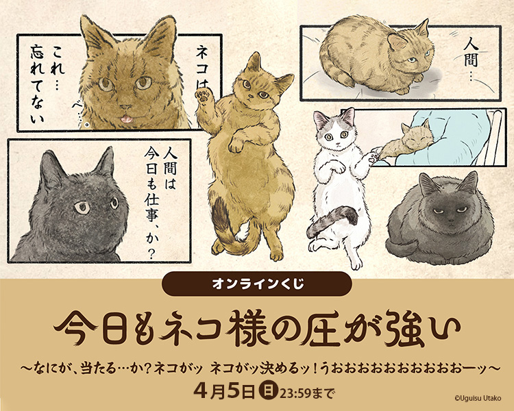 今日もネコ様の圧が強い