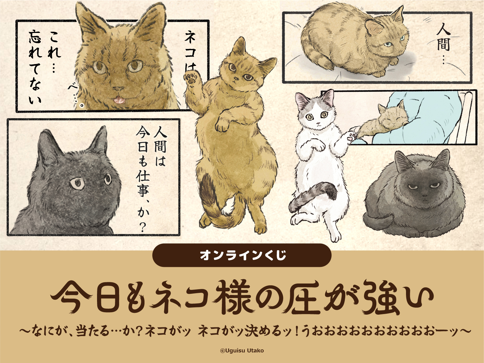 今日もネコ様の圧が強いオンラインくじ