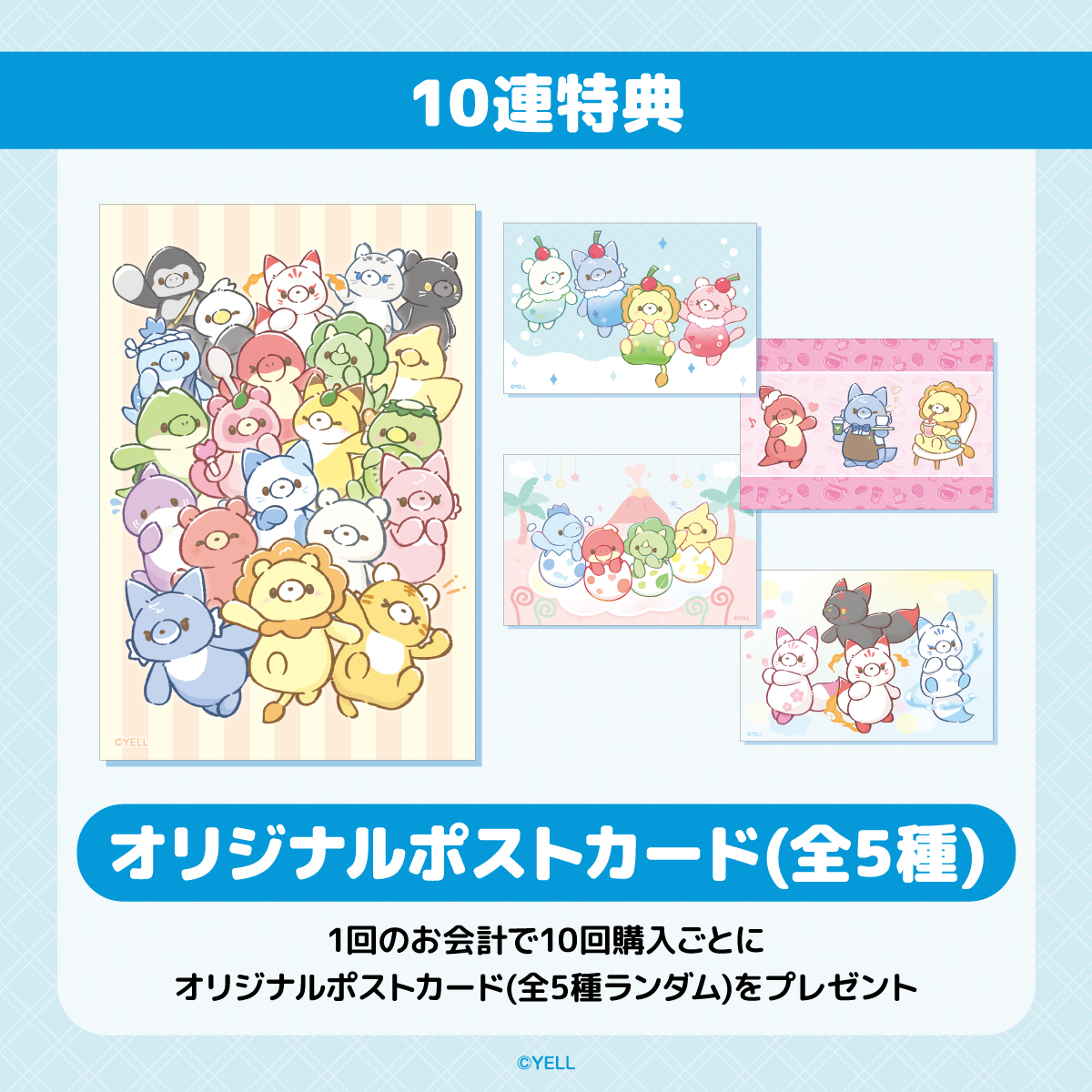10連特典