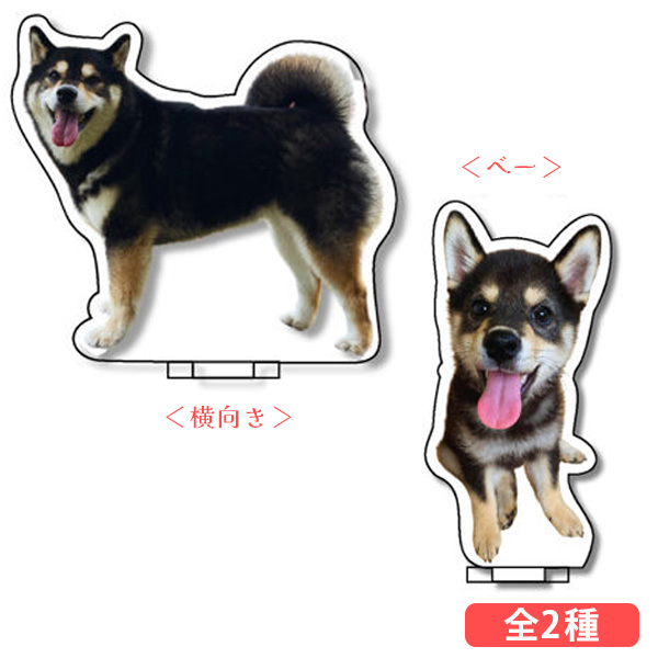 タオルハンカチ