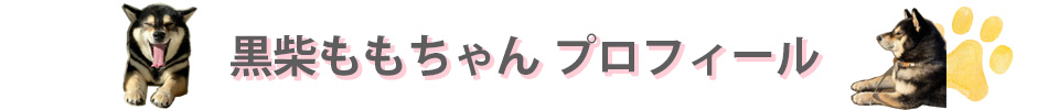 黒柴もも×OIOI in マルイウェブチャネル 黒柴ももについて