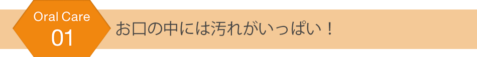 お口の中には汚れがいっぱい！
