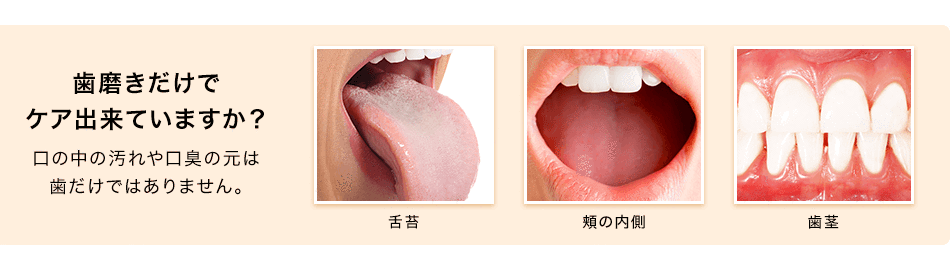 口内洗浄 プロポリンス マルイ マルイ