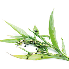 クリアフル スムース　エッセンス