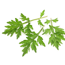 オルビス クリア アクネスポッツ