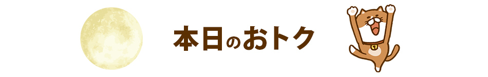 本日のおトク