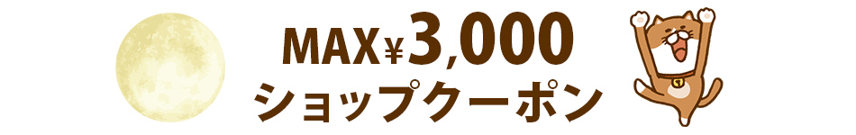 MAX¥3,000クーポン