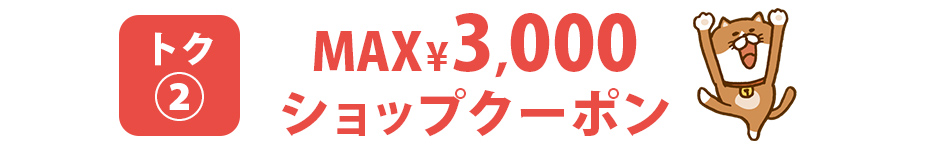 MAX3,000円ショップクーポン