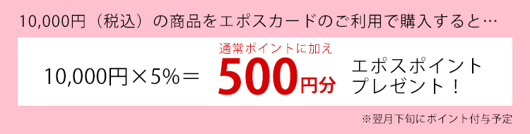 10000円（税込み）の商品を、エポスカードのご利用で購入すると500円分ポスポイントプレゼント