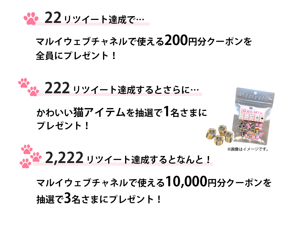 プレゼント内容